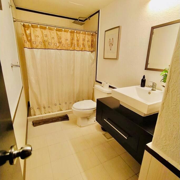 Departamento Con Ubicacion Unica Apartment Playa del Carmen Exterior photo